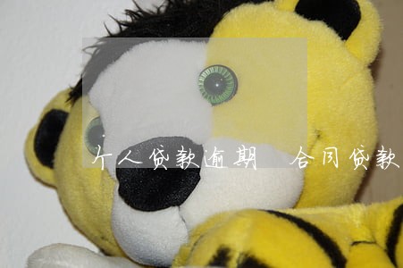 个人贷款逾期 合同贷款诈骗